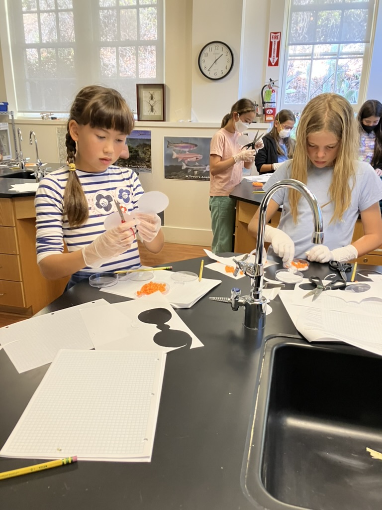 GATE students working together in the science lab