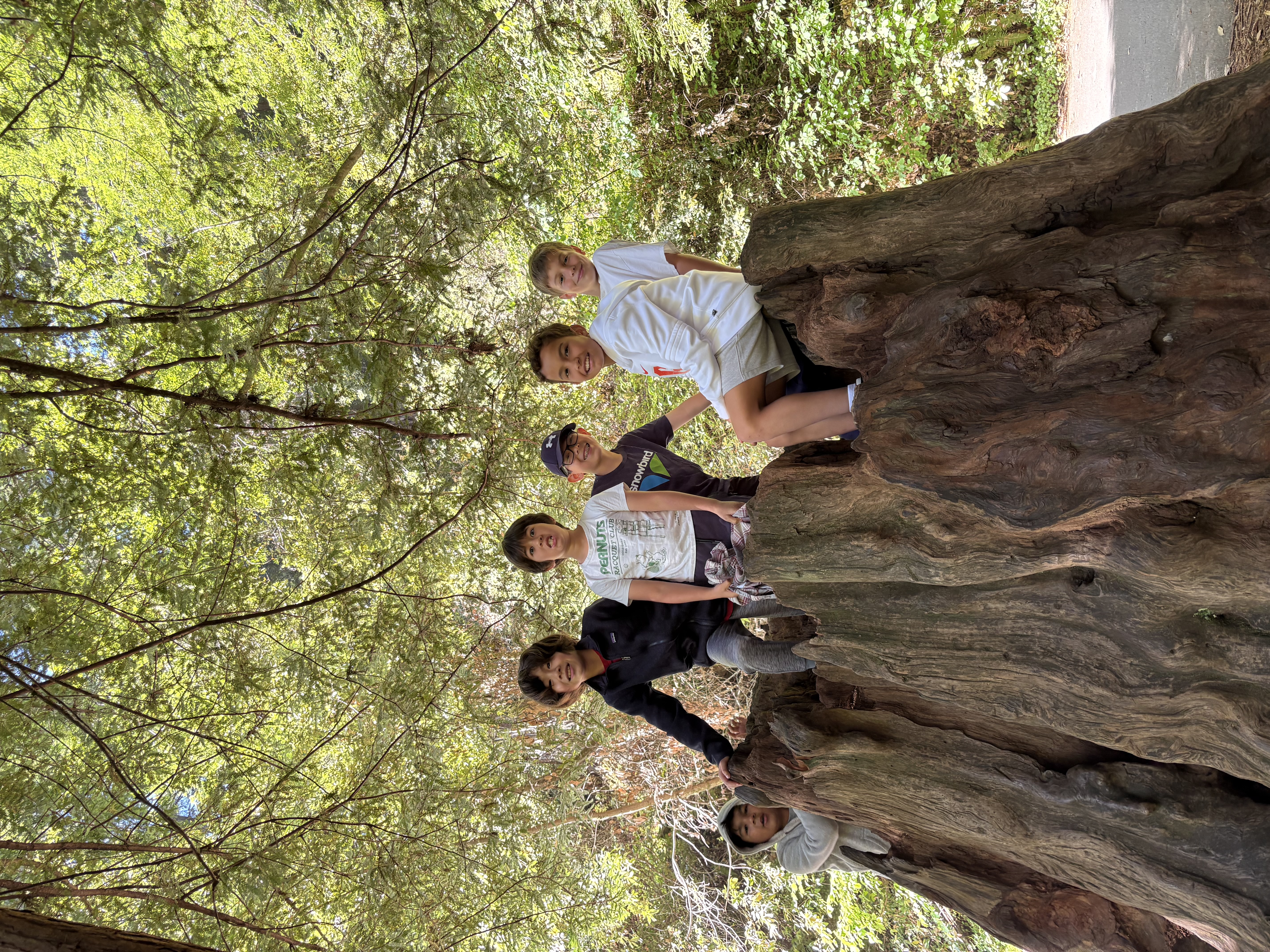 A group of GATE students together on a redwood stump